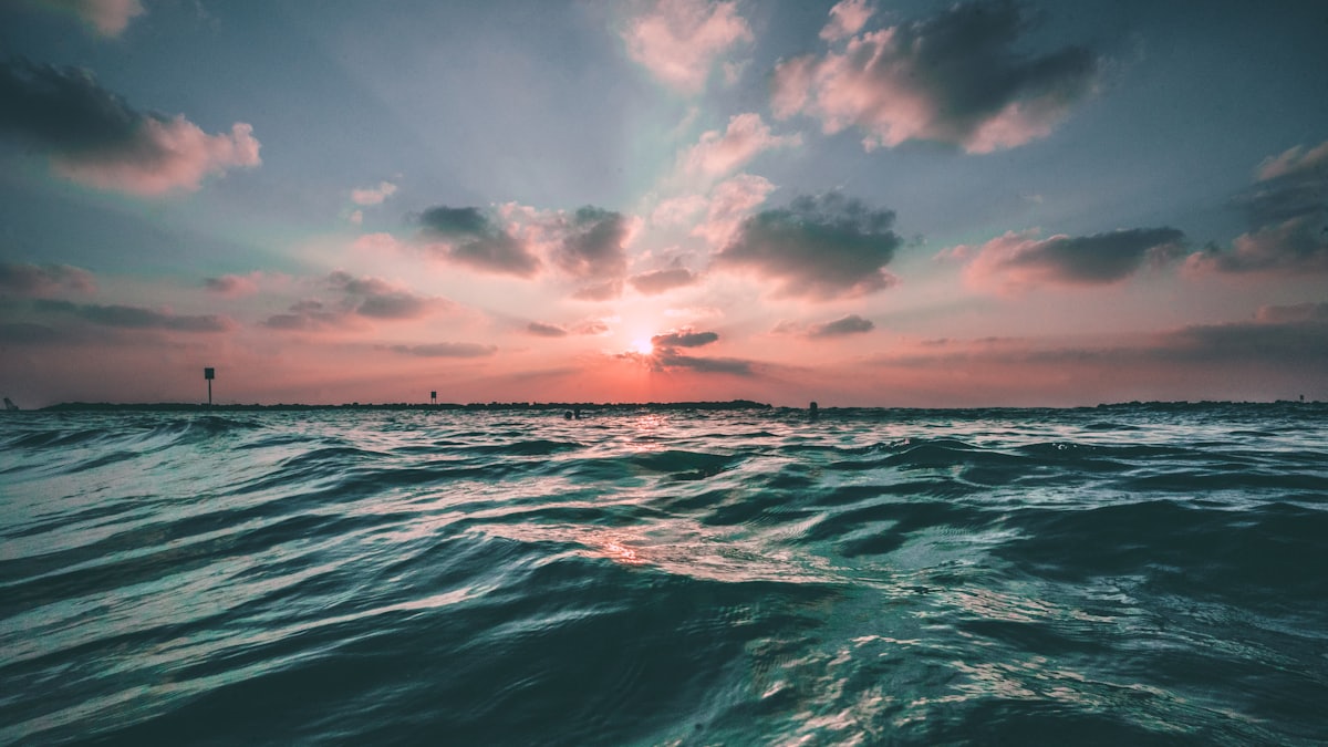 The Boating Exam in Poland: What to Expect on the Day