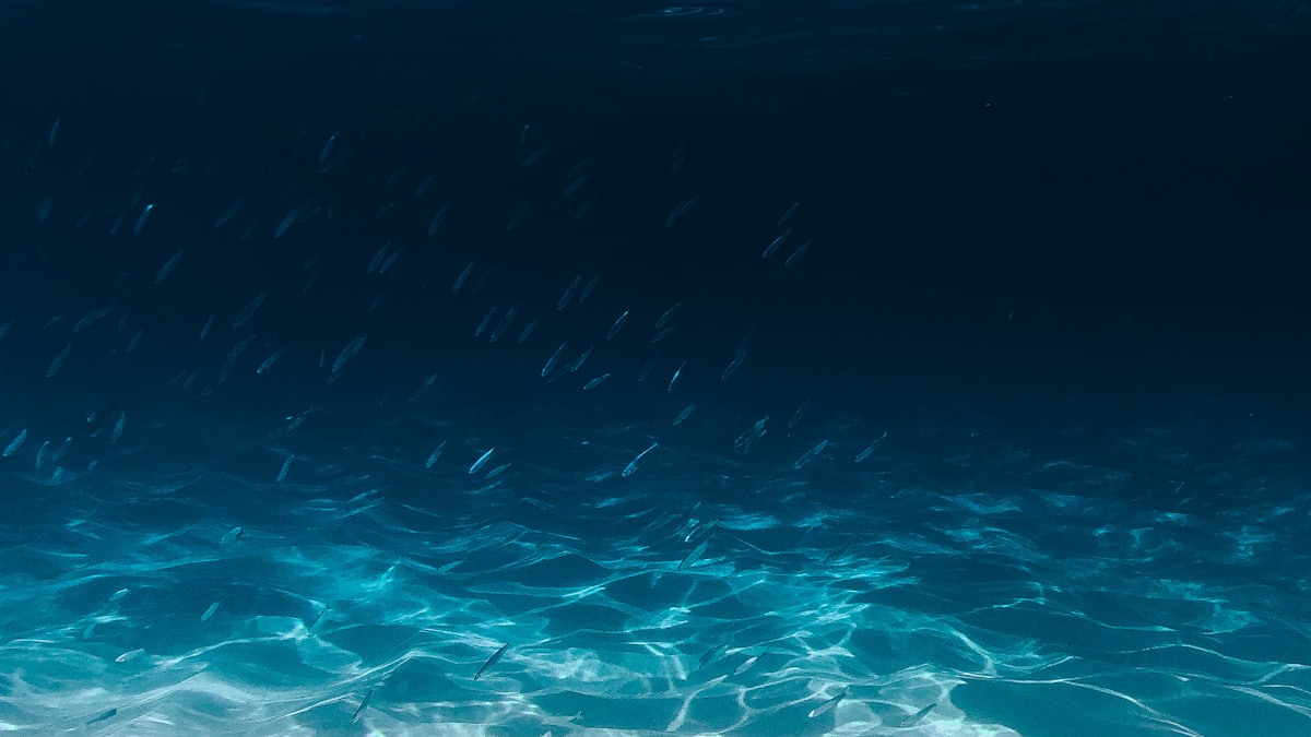 Cold Water and Hypothermia: Staying Safe in the Water